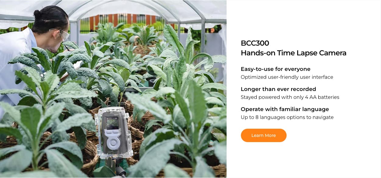 Time Lapse Camera Compare Guide - Brinno